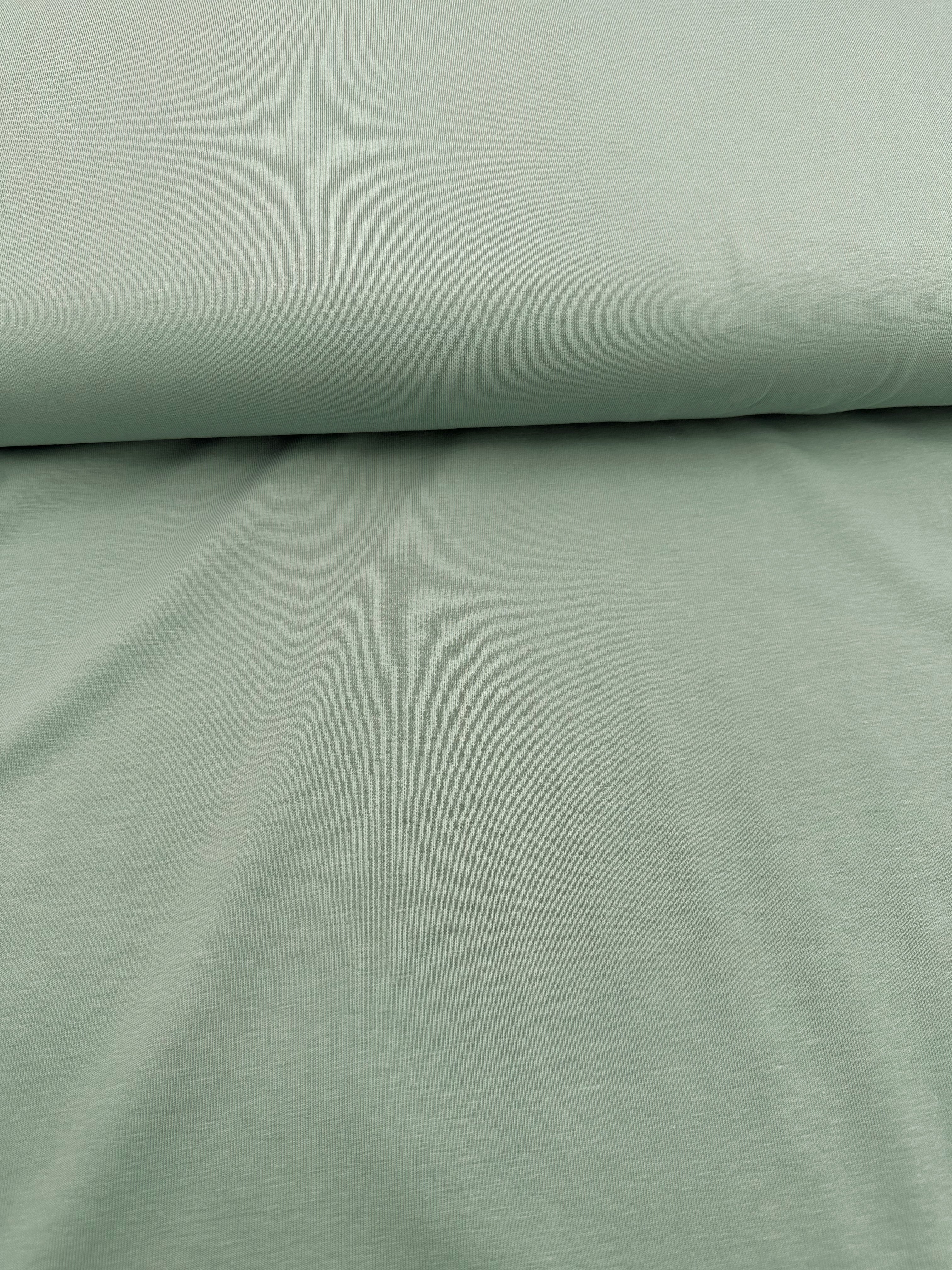 Jersey Baumwolljersey altmint Meterware
