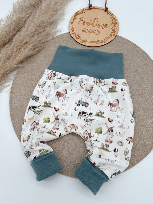 Baggypants Bauernhof